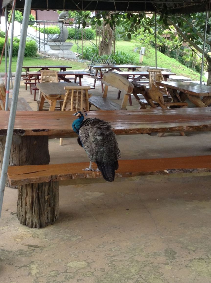 Thoughts running your life? Watch&nbsp;them!